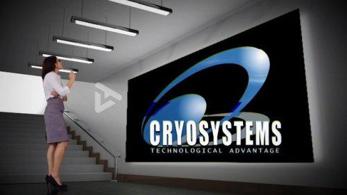 Обзор компании Криосистемы